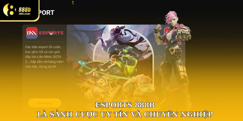 Esports 888B là sảnh cược hoạt động uy tín, chuyên nghiệp